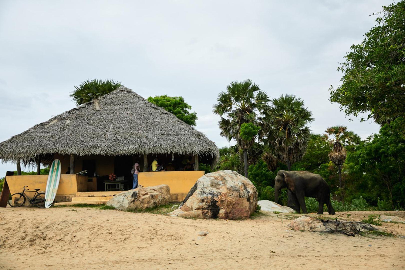 Arugambay Coco Bay Hotel Baía de Arugam Exterior foto